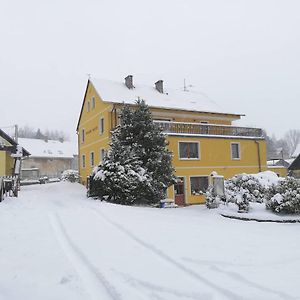 Pension Pastis Hotel Janov Exterior photo