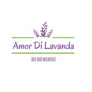 Amor Di Lavanda Bed & Breakfast Cingoli Exterior photo