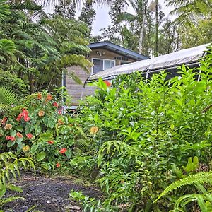 Idyllic Pahoa Paradise Hike, Swim And Explore! Villa Exterior photo