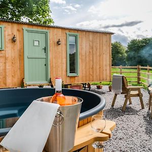 Elephant View Shepherds Hut Villa Caernarfon Exterior photo