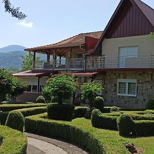 Guest House Vila Aleksa Bogutovac Exterior photo