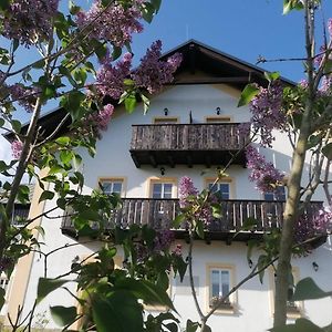 Penzion Henke Hotel Srbska Kamenice Exterior photo