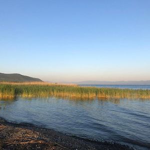 Home On Iznik Lake With Its Own Private Beach Bursa Exterior photo