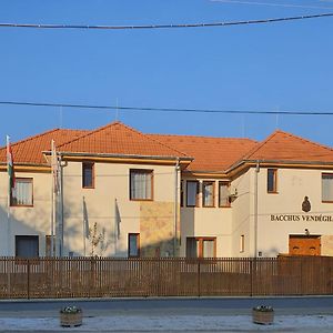 Bacchus Vendeghaz Hotel Erdobenye Exterior photo