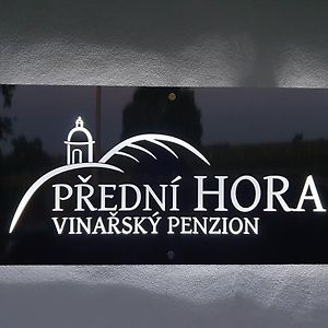 Vinarsky Penzion Predni Hora Hotel Velke Bilovice Exterior photo