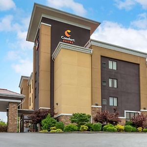 Comfort Suites Kingsport Exterior photo