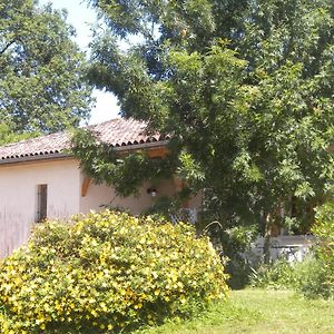 Maison De Vacances De Recailleau Villa Nerac Exterior photo