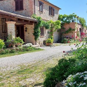 Casale San Martino Agriturismo Bio Villa Sant'Angelo in Pontano Exterior photo