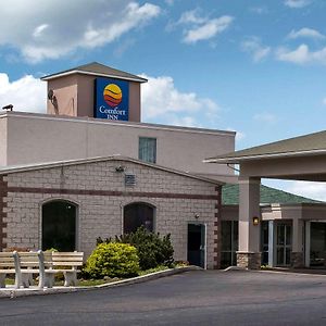 Comfort Inn - Pocono Mountains White Haven Exterior photo