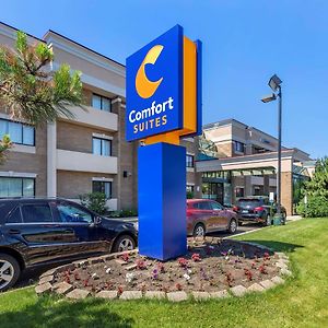 Comfort Suites Oakbrook Terrace Near Oakbrook Center Exterior photo