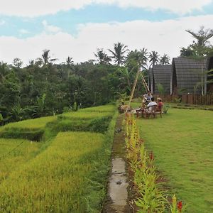 Omah Bapak Ijen Eco House Hotel Licin Exterior photo