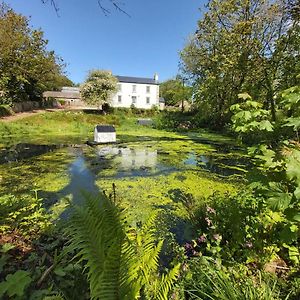 Hen Ffermdy Bed & Breakfast Jordanston Exterior photo