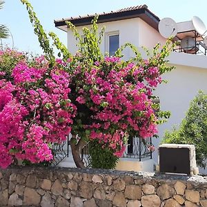 Villa Bougainvillea With Privite Pool Vasilia Exterior photo