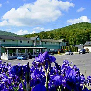 Hotel Biele Studnicky Dargov Exterior photo