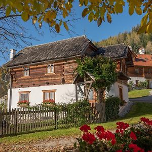 Troadkasten - Ferienhaus Am Bio-Bergbauernhof Villa Aflenz Kurort Exterior photo