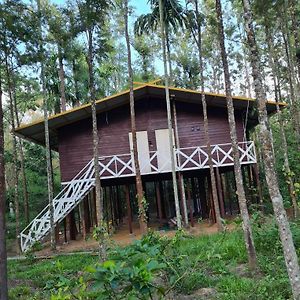 Deep Jungle Home Bandipur Mudumalai Exterior photo