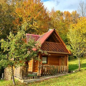 Трембіта Rakhiv Exterior photo