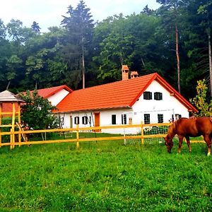 Turisticna Kmetija Hisa Ob Gozdu Pri Ptuju Villa Exterior photo