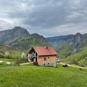 Family Owned Self Sufficient Eco Farm Tara Hotel Pljevlja Exterior photo