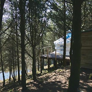 Raven Yurt - Yurtopia Hotel Aberystwyth Exterior photo