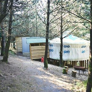 Mushroom Yurt Aberystwyth Exterior photo