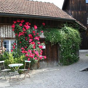 Idyllisches Woeschhuesli Villa Knonau Exterior photo