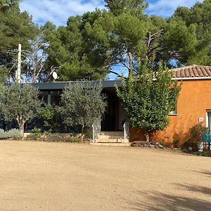 Chambre D'Hotes - Petit Paradyzen - Lac Du Salagou Bed & Breakfast Lacoste  Exterior photo