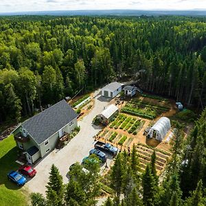 Upper Humber Settlement A Farmstay B&B Cormack Exterior photo