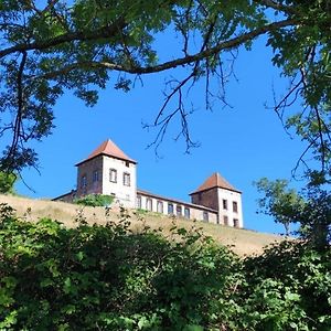 Chateau De Gorze Apartment Germolles-sur-Grosne Exterior photo