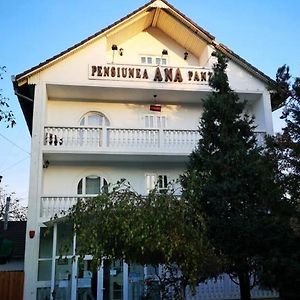 Pensiunea Ana Hotel Targu Mures Exterior photo