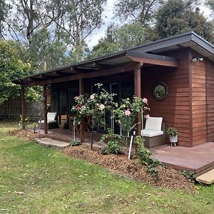 Tranquility Cottage Mount Evelyn Exterior photo