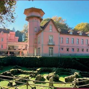 Palace Hotel & Spa - Termas De Sao Vicente Penafiel Exterior photo