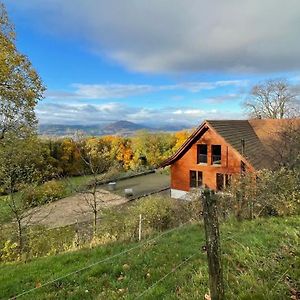 Wunderschoenes Gaestehaus Mit Grandioser Aussicht Apartment Gempen Exterior photo