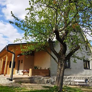 Ubytovani V Sadu Apartment Stara Cervena Voda Exterior photo