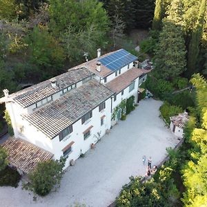 Bed And Breakfast Il Governatore Urbino Exterior photo