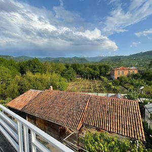 Zaali'S Wine Cellar Bed & Breakfast Vani Exterior photo