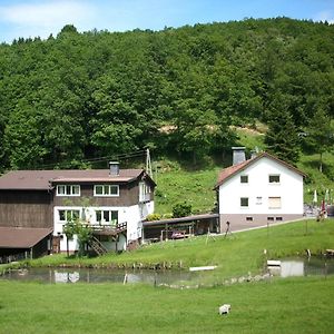 Apartment In Bruchhausen Right On The Fishing River Oberveischede Exterior photo