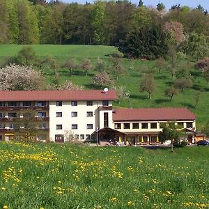 Dornroeschen Hotel Hoechst im Odenwald Exterior photo