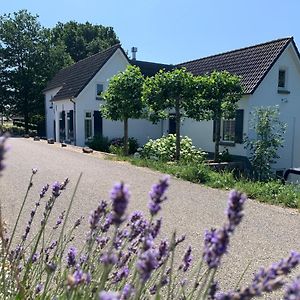 Luxury Guest House - Eik Aan De Dijk Aalst Exterior photo