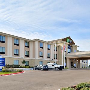 Holiday Inn Express And Suites Schulenburg, An Ihg Hotel Exterior photo