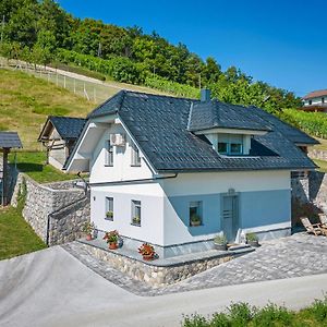 Vineyard Cottage Deer'S Hill - Happy Rentals Smarjeske Toplice Exterior photo