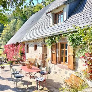 Maison De Caractere Renovee Avec Jardin Clos, Cheminee, Et Animaux Acceptes A Anglards-De-Salers - Fr-1-742-322 Villa Exterior photo