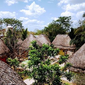 Aldea Maya Toktli Origenes - Wifi Starlink - Alberca - Tour Virtual Sostenibilidad & Cultura Local Hotel Izamal Exterior photo