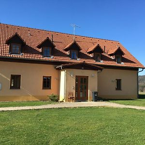 Pension Hofberg Aparthotel Jetrichovice  Exterior photo