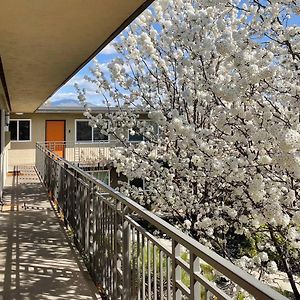 Top Floor-Work Here-Walk Downtown-King Bed Apartment Walnut Creek Exterior photo