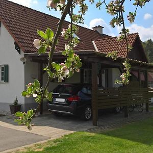 Ferienhaus Am Bach Hotel Kirchberg an der Raab Exterior photo