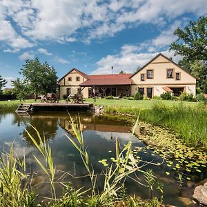 Penzion U Lisky Hotel Jarosov nad Nezarkou Exterior photo