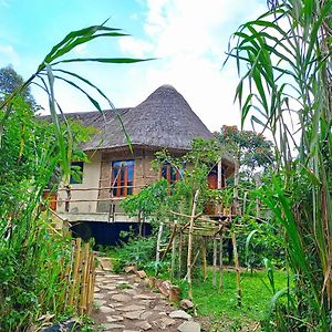 Chimpanzee Capital Safari Lodge Bigodi Exterior photo