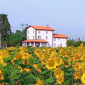 La Collinetta B&B Crespellano Exterior photo