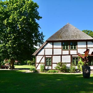 Alte Ausspanne Hotel Walkendorf Exterior photo